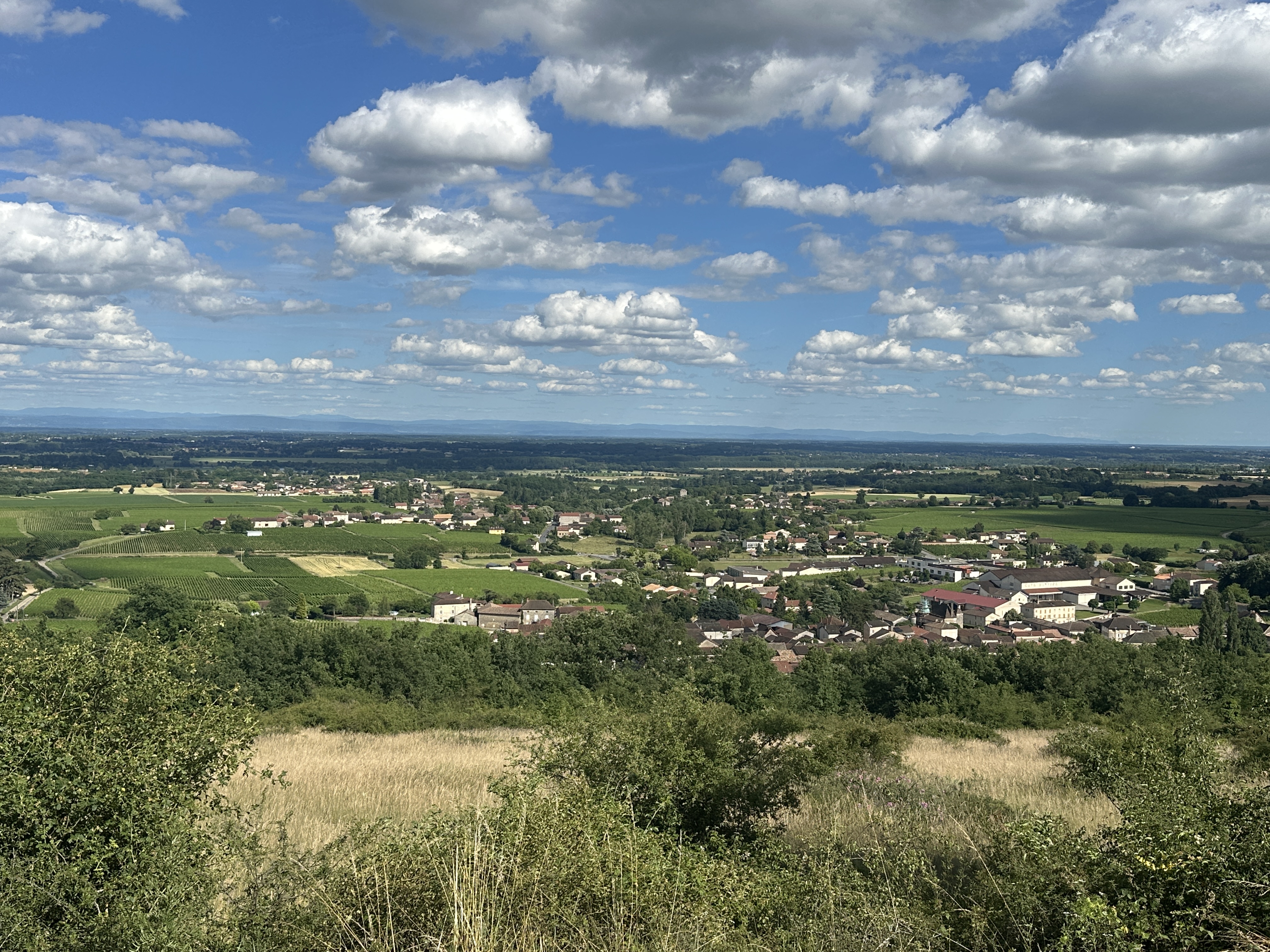 capifrance
