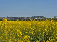 Saint-Galmier