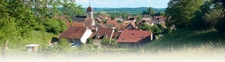 Contacter Cindy HENRY, votre conseiller immobilier Optimhome à Esprels