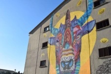 Natif de la région, je propose une expertise immobilière locale et un accompagnement sans faille.