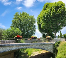Biot