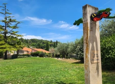 Biot