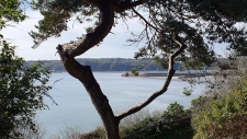 capifrance
