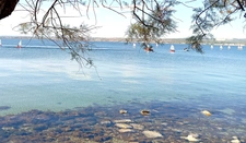 capifrance