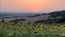 Enfant du pays, je privilégie l'humain avant tout. Ancré dans la région, je vous accompagne avec écoute et transparence pour donner vie à vos projets.