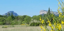 capifrance