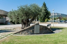 Saint Mathieu de Tréviers et alentours 34270