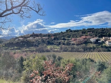 capifrance