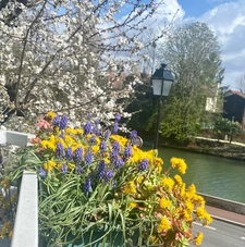 Joinville-le-Pont