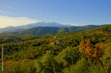 capifrance