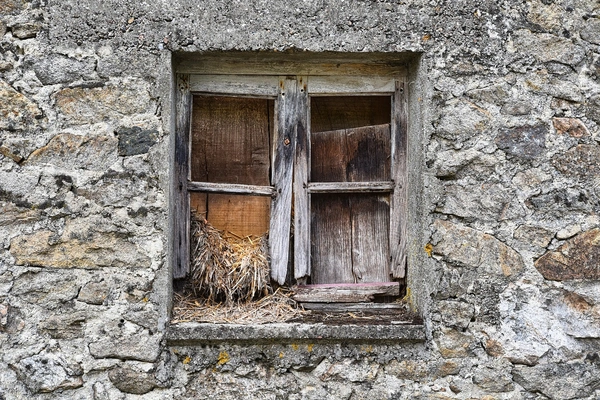 Des fenêtres à remplacer : que choisir, double ou triple vitrage ?