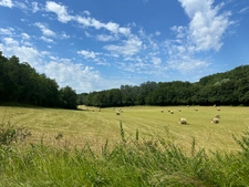 Pessac
