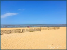 Saint-Xandre