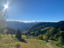 capifrance