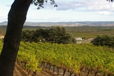 Saint-Saturnin de Lucian (34725)