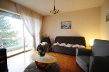 Appartement en VIAGER Occupé à ROANNE (42)