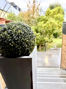 Dpt Finistère (29), à vendre Brest Pasteur Lycée St Anne Maison T10 de 200 m² - Terrain de 210 m² - Terrasse 30m²