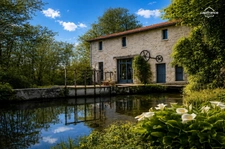Ensemble immobilier de caractère sur plus de 2 hectares bordés par la rivière à vendre LA MOTHE SAINT HERAY (79)