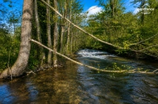 Ensemble immobilier de caractère sur plus de 2 hectares bordés par la rivière à vendre LA MOTHE SAINT HERAY (79)
