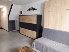 Appartement à vendre 1 pièce 24 m² avec balcon, cellier, casier à ski.