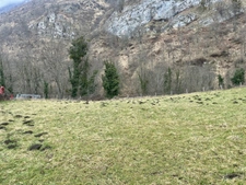 Terrain à vendre  CAMPAN (65)