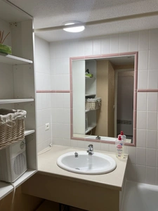 Appartement à vendre 2 pièces LA MONGIE (65) avec balcon, cellier, casier à ski et parking intérieur.