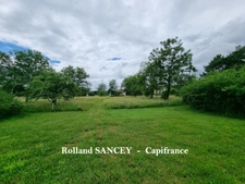 A vendre  ROYE (70) Maison avec habitation principale et logement locatif sur plus de 5800 m2