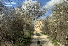 Near Banon, beautiful Guest House of 268 m2 (+130 m2) in the countryside