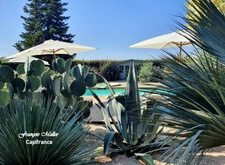 Charming property with swimming pool and gîtes – The Provençal way of life 