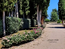 Charming property with swimming pool and gîtes – The Provençal way of life 