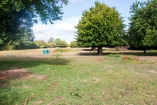 Propriété sur 1.5ha avec maison 7 pièces MONTS SUR ORNE (61)