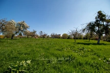 Terrain 2400m² à vendre  VIMOUTIERS (61)