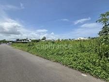 Terrain constructible de 800 m² – Petit-Bourg, à 5 min de Colin et Jarry