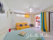 Appartement à louer, 2 pièces meublé - GOURBEYRE (971)
