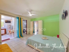 Appartement à louer, 2 pièces meublé - GOURBEYRE (971)