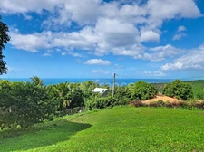 Spacious villa with sea view, 3 bedrooms, potential for expansion – Vieux-Habitants (971)