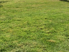 Terrain à vendre de 1 200,00 m² CROISY SUR ANDELLE (76)