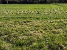 Terrain à vendre de 2 311,00 m² CROISY SUR ANDELLE (76)