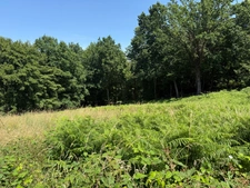 Terrain à vendre de 3 250,00 m² SAINT MARTIN DU VIVIER (76)