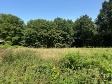 Terrain à vendre de 3 250,00 m² SAINT MARTIN DU VIVIER (76)