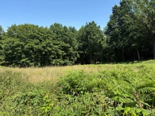 Terrain à vendre de 3 250,00 m² SAINT MARTIN DU VIVIER (76)