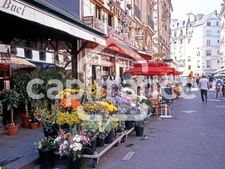 Business for sale CAUDEBEC EN CAUX (76)