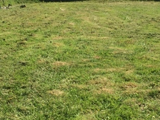 Terrain à vendre de 617,00 m² LE HOULME (76)