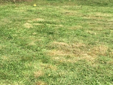 Terrain à vendre de 850,00 m² CROISY SUR ANDELLE (76)