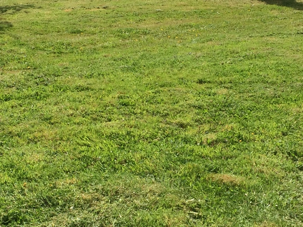 Terrain à vendre de 1 200,00 m² CROISY SUR ANDELLE (76)