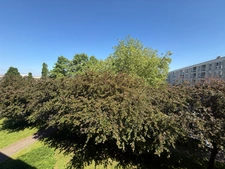 Appartement à vendre 3 pièces MONT SAINT AIGNAN (76)