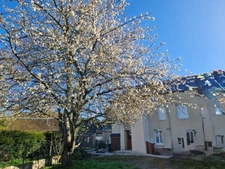 House for sale, 6 rooms, LA FEUILLIE (76)