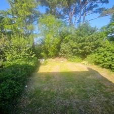 Maison au calme sur 3300 m2 de terrain arboré