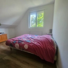 Maison au calme sur 3300 m2 de terrain arboré