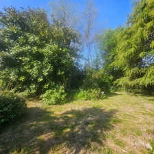 Maison au calme sur 3300 m2 de terrain arboré
